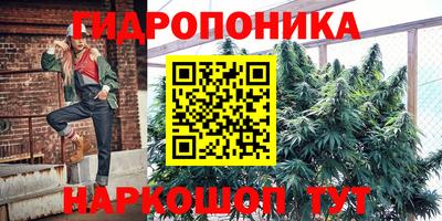 a pvp Апшеронск