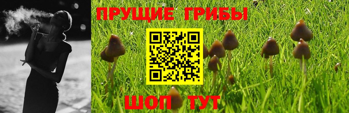Псилоцибиновые грибы мицелий  Вход с VPN  Брянск 